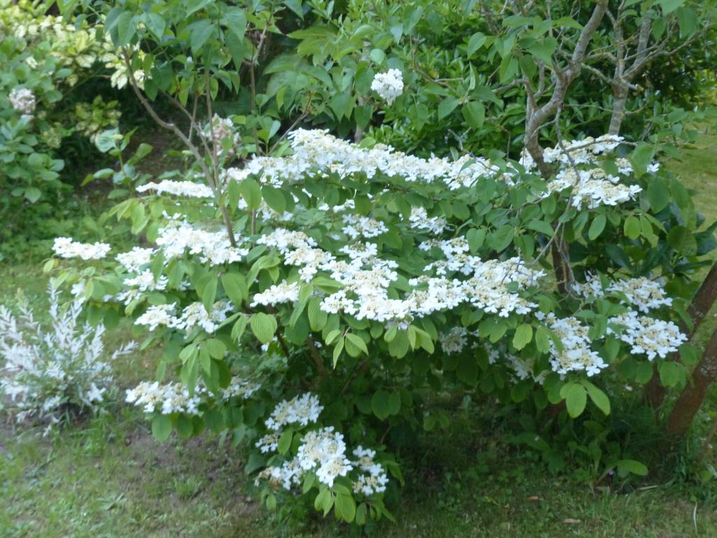 La Flore De Lys, Cottage Ideal Pour 2 Adultes Et 2 Enfants Saint-Jouin-Bruneval 객실 사진